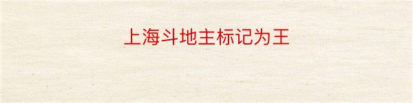 上海斗地主标记为王