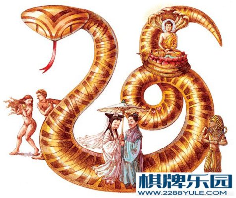 棋牌资讯 泰坦蟒长度超过13米的地狱巨蛇