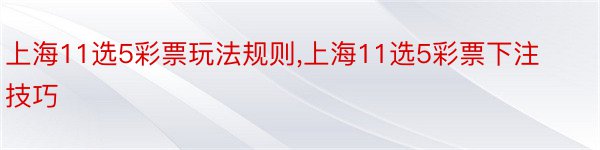 上海11选5彩票玩法规则,上海11选5彩票下注技巧